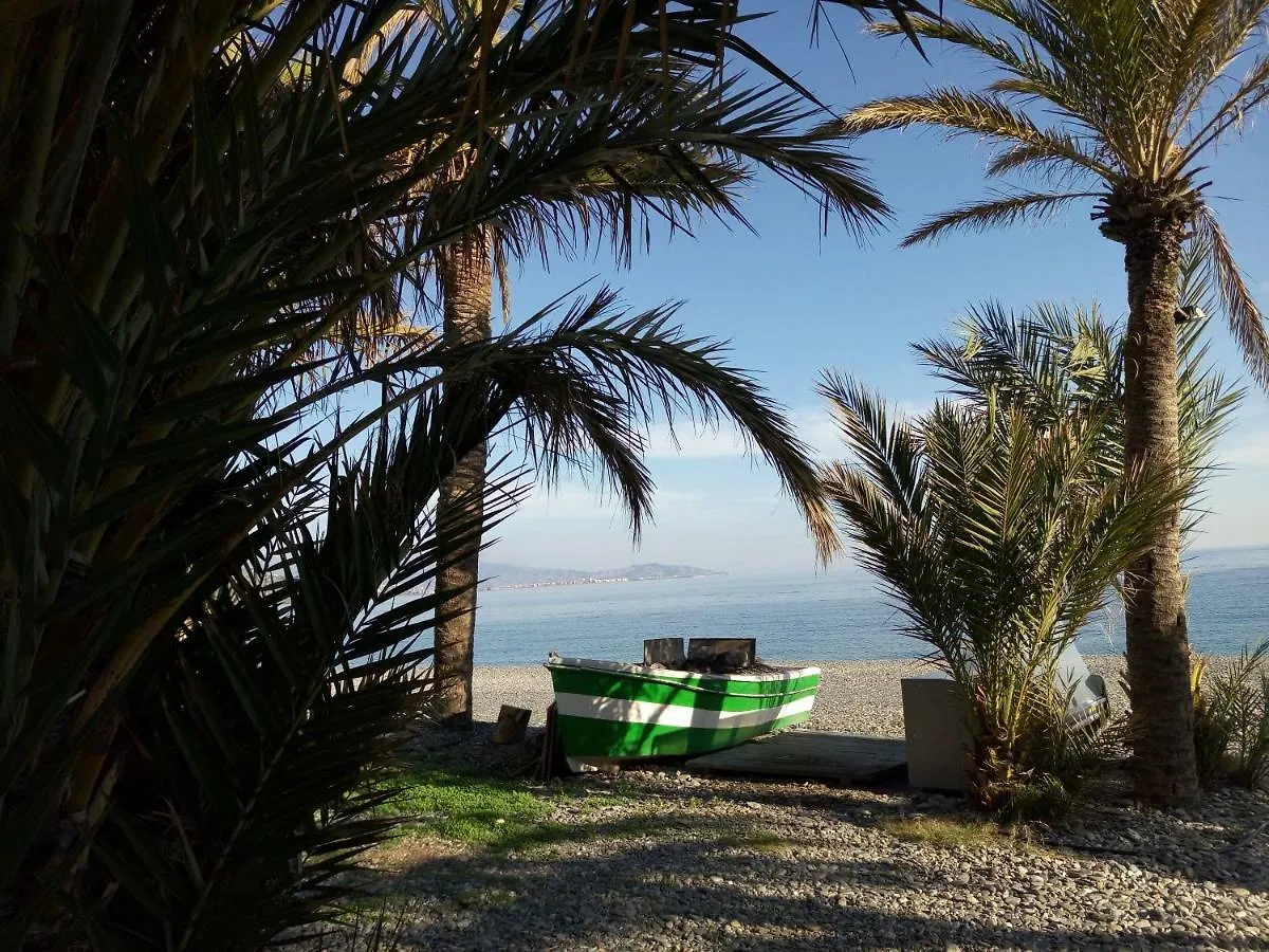 El Balcon Del Mar Apartment Almunecar 0*,