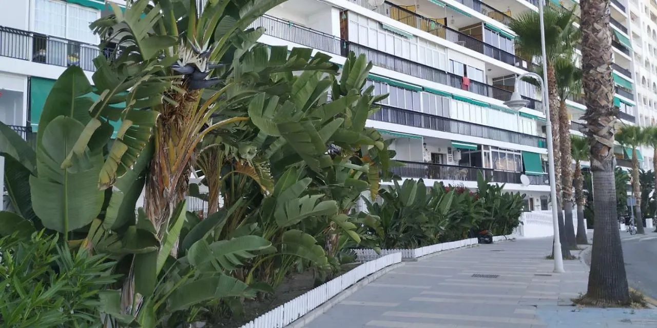 El Balcon Del Mar Apartment Almunecar 0*,